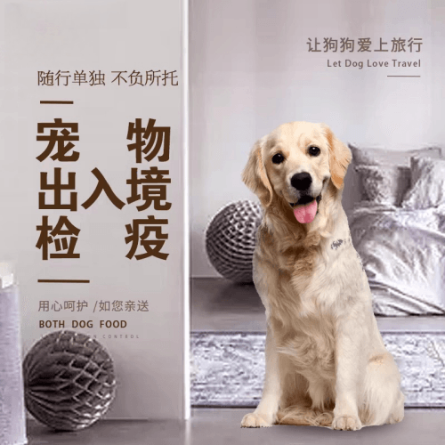 兴安盟宠物托运到哥伦比亚猫狗宠物入境规定和