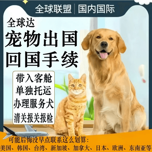 兴安盟宠物托运到柬埔寨宠物入境规定和要求