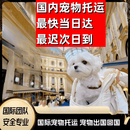 兴安盟到澳大利亚（澳洲）宠物入境规定和要求