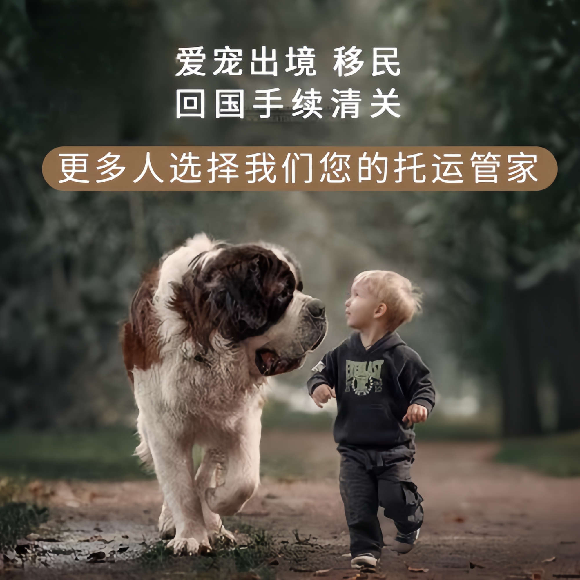 满财兴安盟宠物全球达宠物托运在遵守入境目的地政策的条件