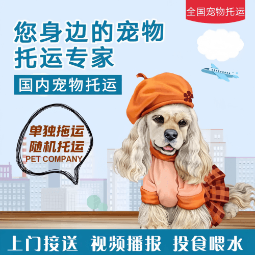 满财兴安盟宠物全球达宠物托运作为专业的宠物运输代理机构